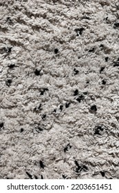 Black And White Furry Carpet Texture