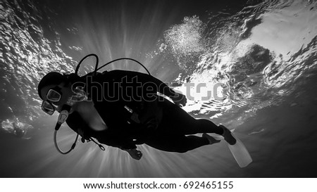 into the deep Dive Diver