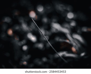 black and white grass stem background