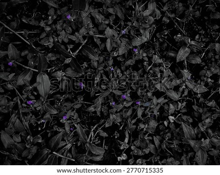 Black and white grass texture