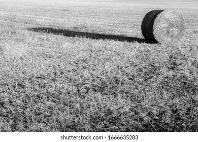 Hay Bales Black And White High Res Stock Images Shutterstock