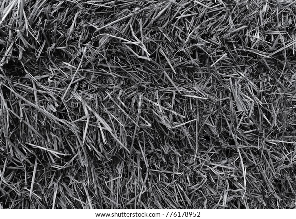Black White Hay Stack Texture Background Stock Photo 776178952 ...