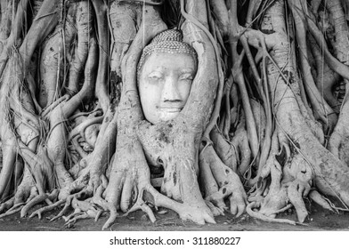 black and white, Head of Buddha statue in the tree roots at Wat Mahathat temple, Ayutthaya, Thailand. - Powered by Shutterstock