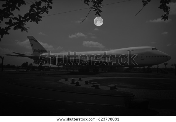 Black and white\
image of airplane in the\
park