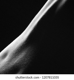 Black And White Image Of A Beautiful Female Body. There Is A Mystery! Studio Shooting Using Backlight. Sexy Body. Beautiful Body Parts. 