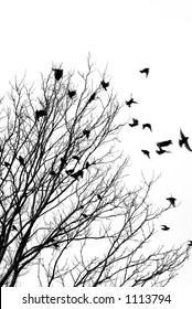 Black And White Image Of Birds Flying Off A Tree