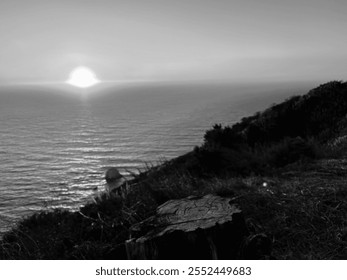 A black and white image captures a serene sunset over the ocean. The sun reflects on the calm waters, with a grassy foreground and a tree stump adding contrast to the bright horizon. - Powered by Shutterstock