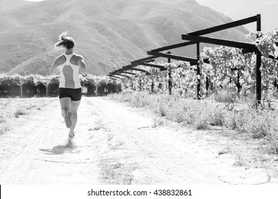 Black And White Image Of A Female Triathlete Running On A Trail On A Bright Sunny Day In The Vineyards Of The Western Cape Of South Africa