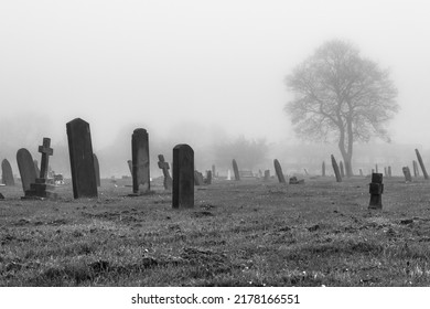 A black and white image of a foggy cemetery with scattered graves and a tree