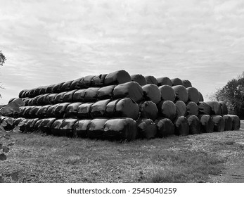 Black and white image of hay bales in black plastic covering - Powered by Shutterstock