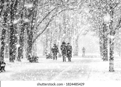 Black and white image of a heavy snowfall. Walking with a dog in bad weather on a city street. Snow storm in the city.                            
