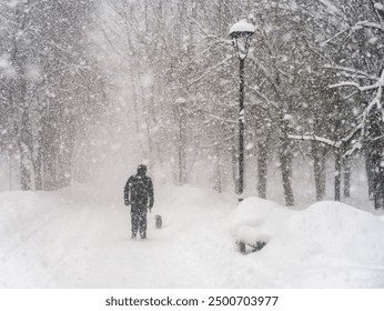 Black and white image of a heavy snowfall. Walking with a dog in bad weather on a city street. Snow storm in the city.                    - Powered by Shutterstock