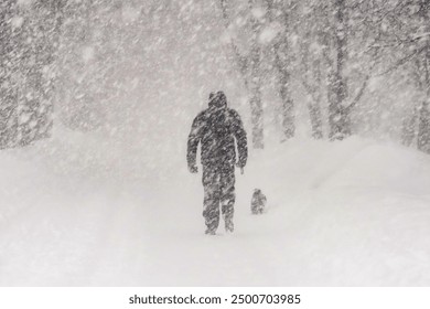 Black and white image of a heavy snowfall. Walking with a dog in bad weather on a city street. Snow storm in the city.                    - Powered by Shutterstock