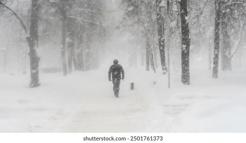 Black and white image of a heavy snowfall. Walking with a dog in bad weather on a city street. Snow storm in the city.                    - Powered by Shutterstock