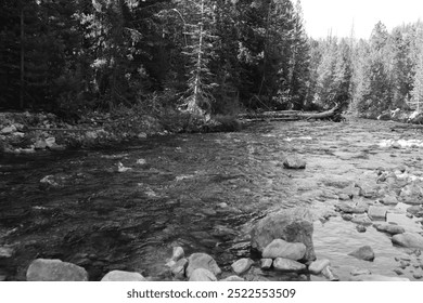 A black and white image of the Provo River, flowing through a rocky riverbed surrounded by dense forest, fallen logs, and pebbles, capturing the natural beauty of the wilderness. - Powered by Shutterstock