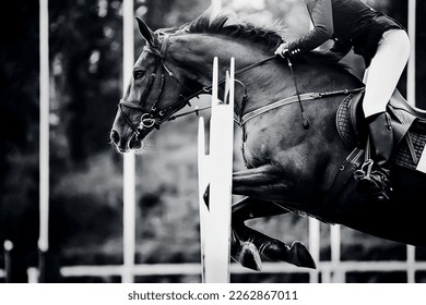  A black and white image of a racehorse with a rider in the saddle, which jumps over a high barrier. Equestrian sports and horse riding