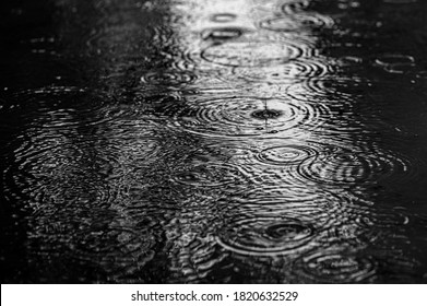 Black and white image of raindrops falling in a street forming random circles