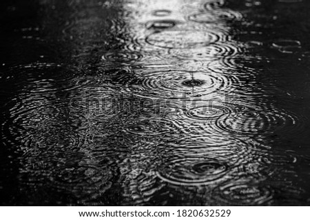 Black and white image of raindrops falling in a street forming random circles