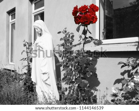 Black and white image of religious statue of Mary next to some red coloured roses for contrast.