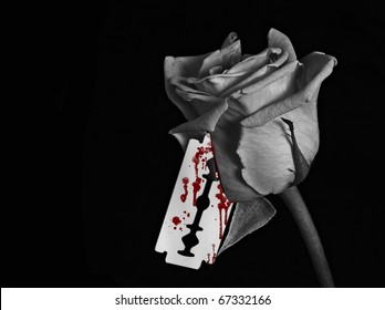 Blood Rose Images Stock Photos Vectors Shutterstock