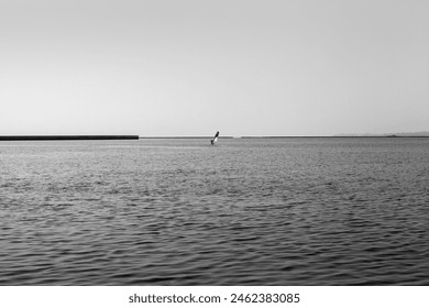 A black and white image of a solitary windsurfer gliding across a vast expanse of calm water - Powered by Shutterstock