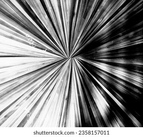 A black and white image of a sunburst