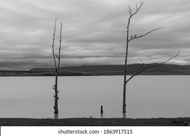 Black And White Image Taken At Mthatha Dam