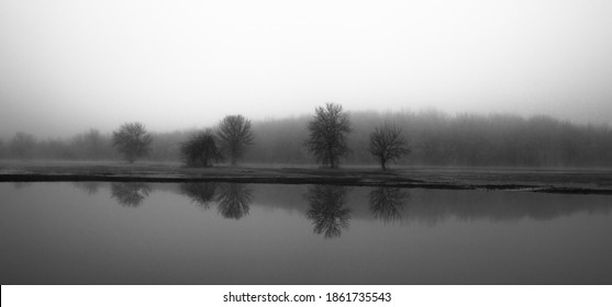 Black and white image of trees reflected in an Oregon wetland on a foggy morning - Powered by Shutterstock