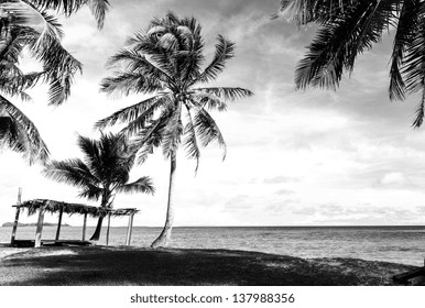 Black and white image of tropical beach - Powered by Shutterstock