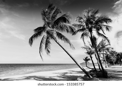 Black and white image of tropical beach,Thailand - Powered by Shutterstock