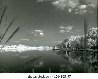 Black And White Lake In Near Infrared