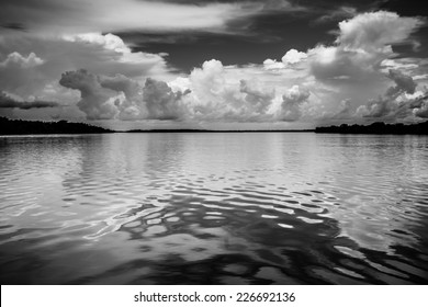 Black & white landscape of the amazon River