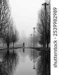 A black and white landscape with a man walking along a path in the fog, with street lights and trees.Street photography in the park.