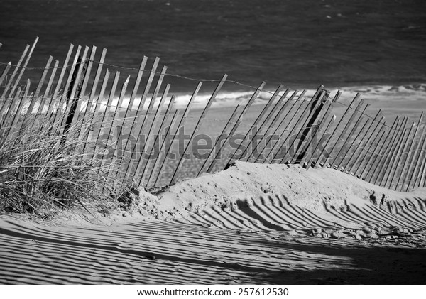 Black White Landscape Photograph Weathered Beach Stock Photo (Edit Now ...