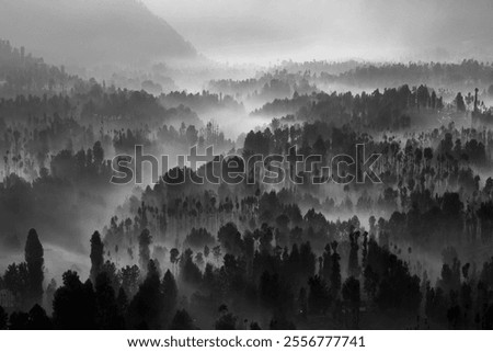 Similar – Image, Stock Photo An ethereal landscape showcasing a blur of golden wildflowers against a backdrop of serene trees under a soft, hazy sunrise