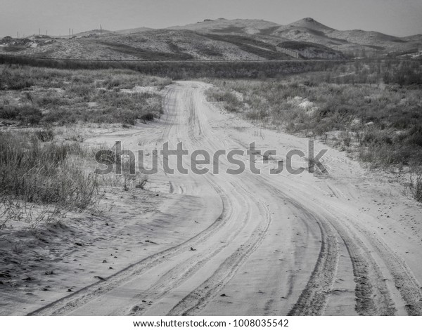 Black and white landscape. Winter\
steppe. Country road. Cold winter                          \
