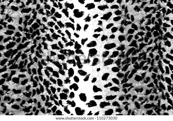 black and white leopard print pants
