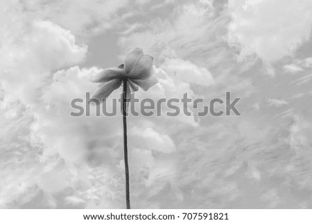 Similar – Image, Stock Photo Living wind power plant