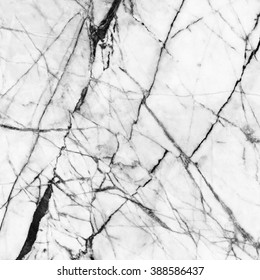 Black And White Marble Pattern Background For Decoration.