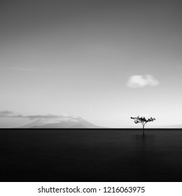 Black And White Minimalist Photography