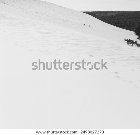 Similar – Image, Stock Photo 79 [dune climbing] Joy