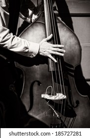 Black And White Of Musician Playing Bass Fiddle.