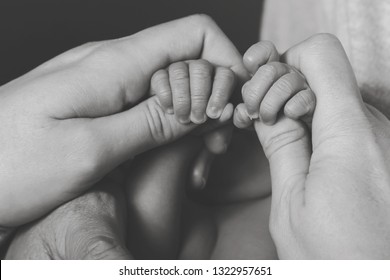 Black And White Newborn Premature Baby With Parents Mom And Dads Hands Support