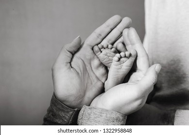 Black And White Newborn Premature Baby With Parents Mom And Dads Hands Support