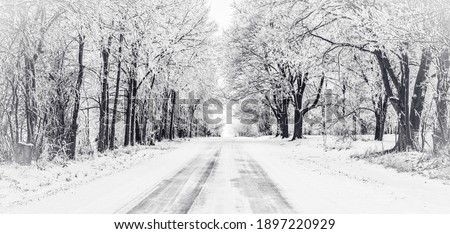 Black and white panorama of icy road with frost covered trees