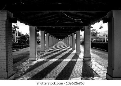 black and white path