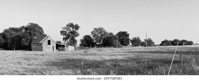 A black and white photo of an abandoned barn in a rural landscape, surrounded by a field and trees. The weathered structure evokes nostalgia and tranquility, showcasing the rustic charm of the country - Powered by Shutterstock