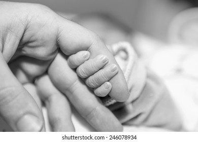 Black And White Photo Of A Baby's Hand Holding The Finger Of His Dad Or His Mom