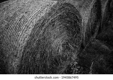 Hay Bales Black And White Stock Photos Images Photography Shutterstock