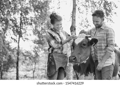 Black And White Photo Of Female And Male Farmer Petting Cow In Farm